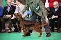 Crufts2011 072